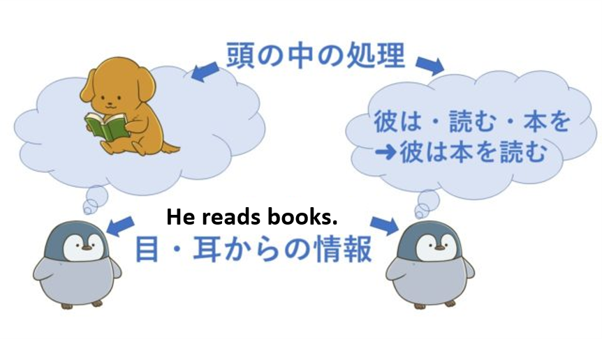 英会話初心者が独学で日常会話レベルを目指すための勉強法 英会話初心者が独学で日常会話レベルを目指すための勉強法
